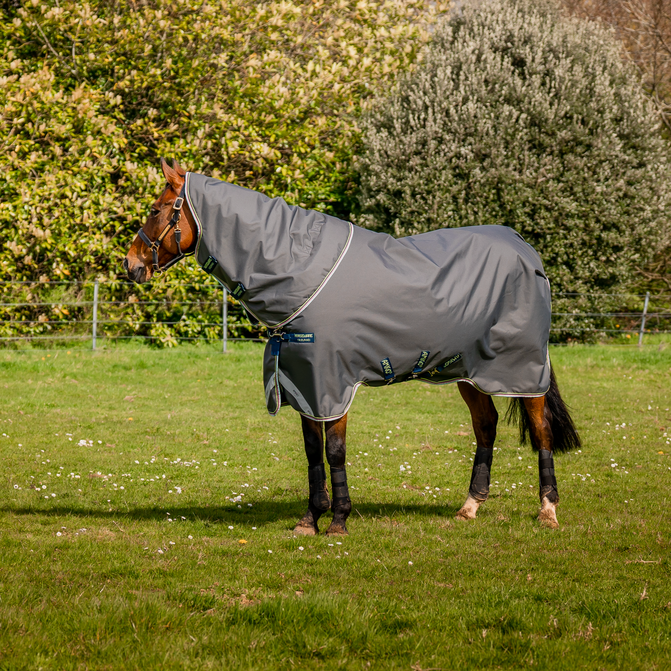 Amigo 1200D Plus Turnout Detach-A-Neck