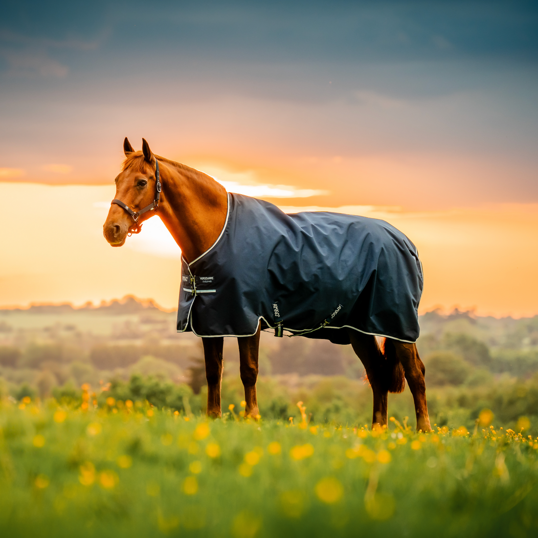 Amigo Ripstop 900D Turnout Fleece Lined Standard Neck