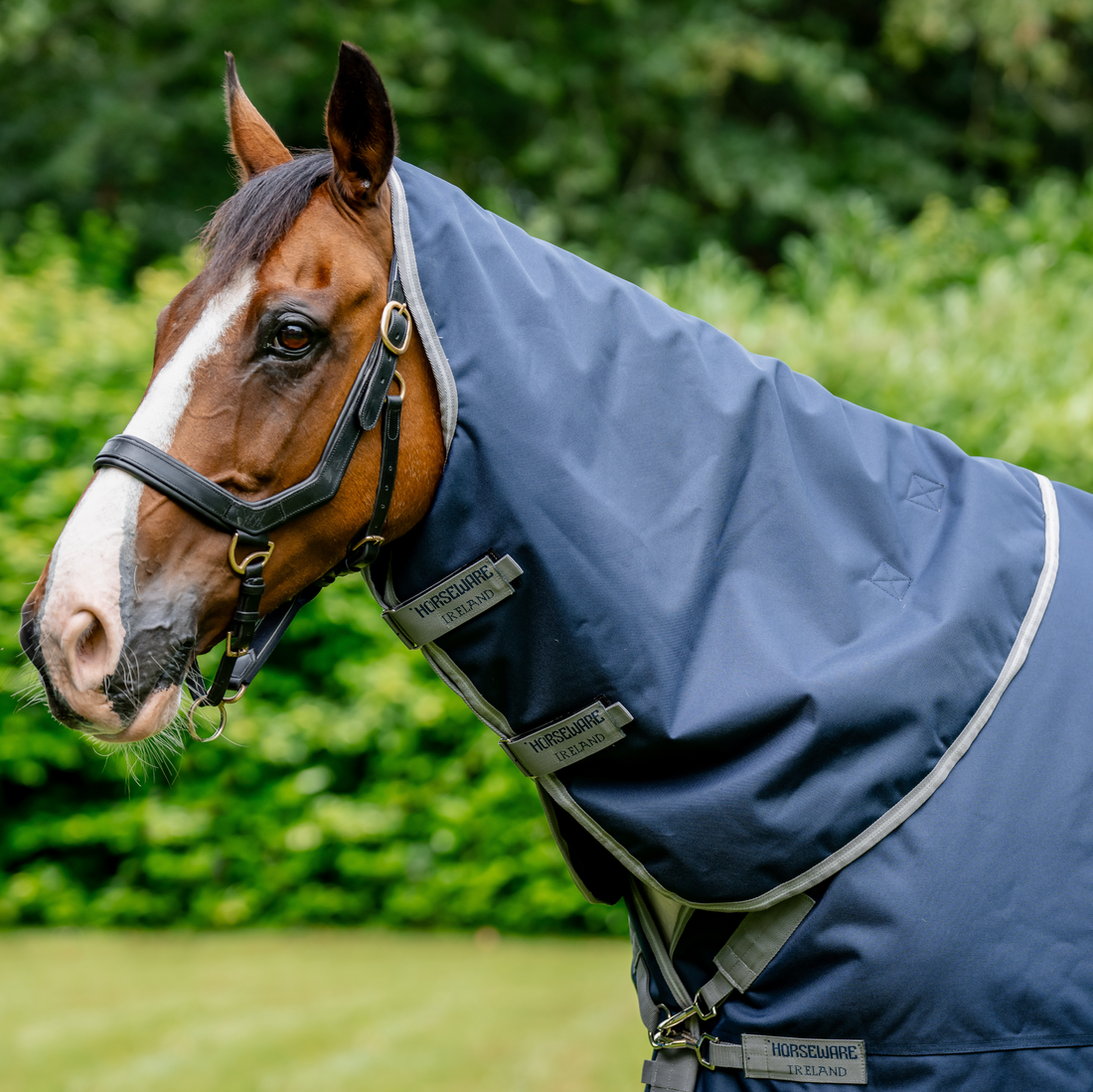 Amigo 1200D XL Turnout Neck Rug