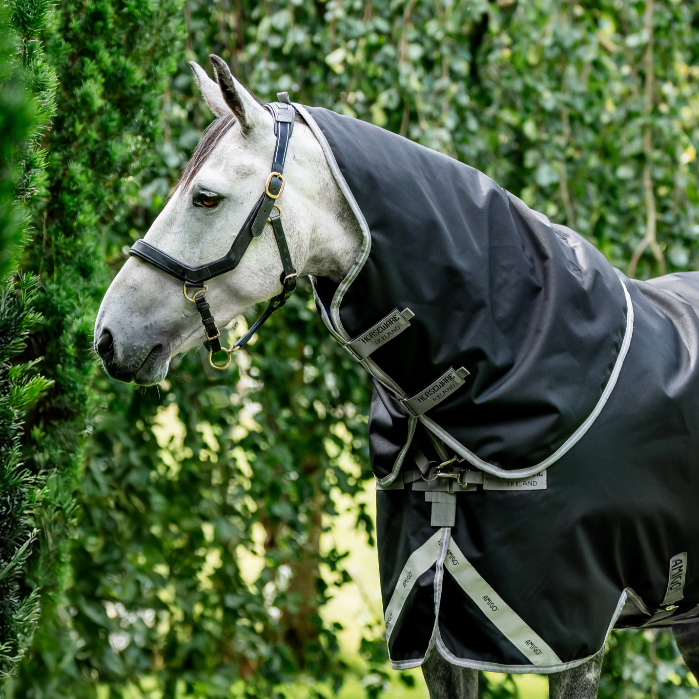 Amigo 1200D XL Turnout Neck Rug