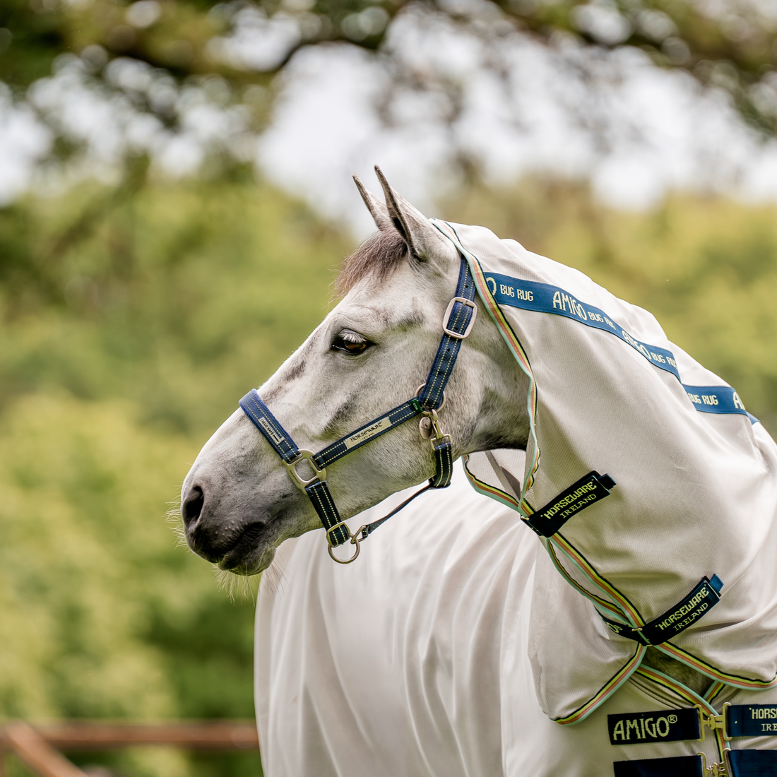 Horseware Ireland Field Safe Headcollar