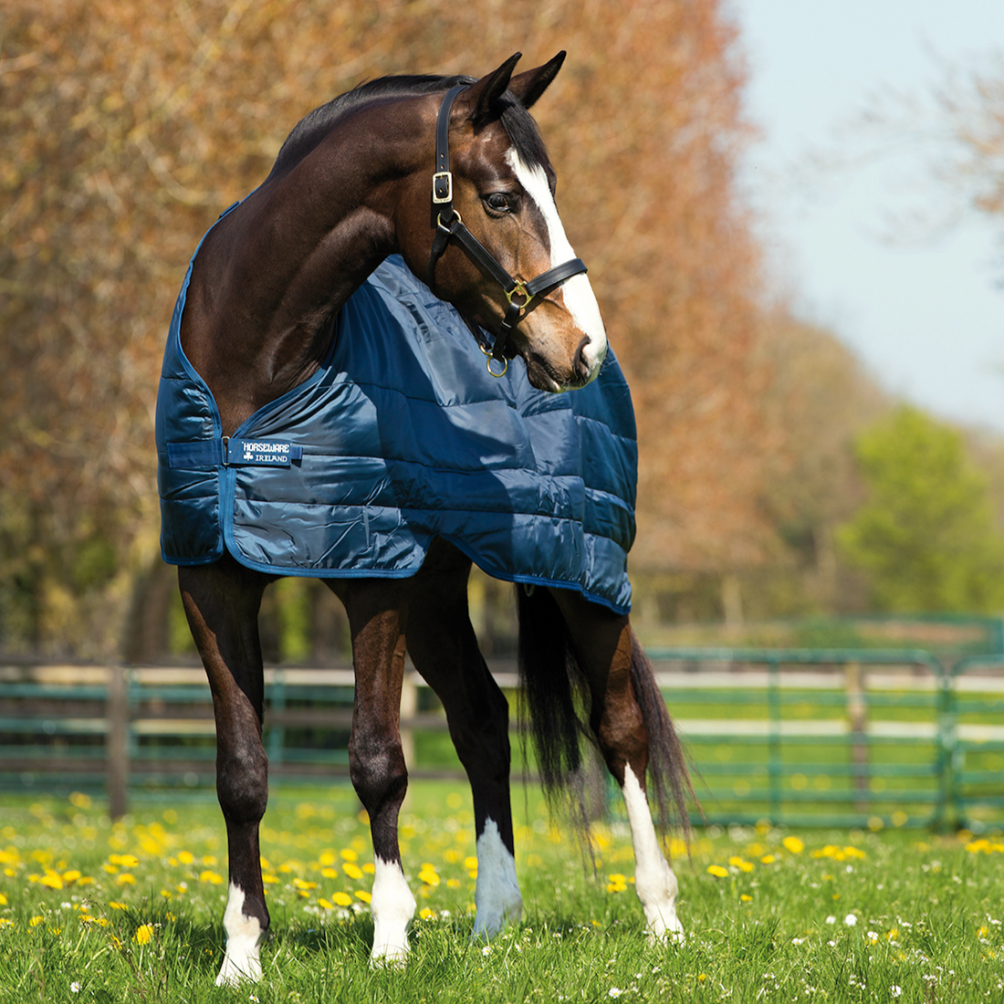 Horseware Ireland Liner