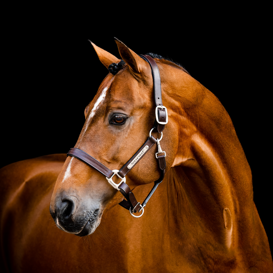 Horseware Ireland Signature Leather Headcollar