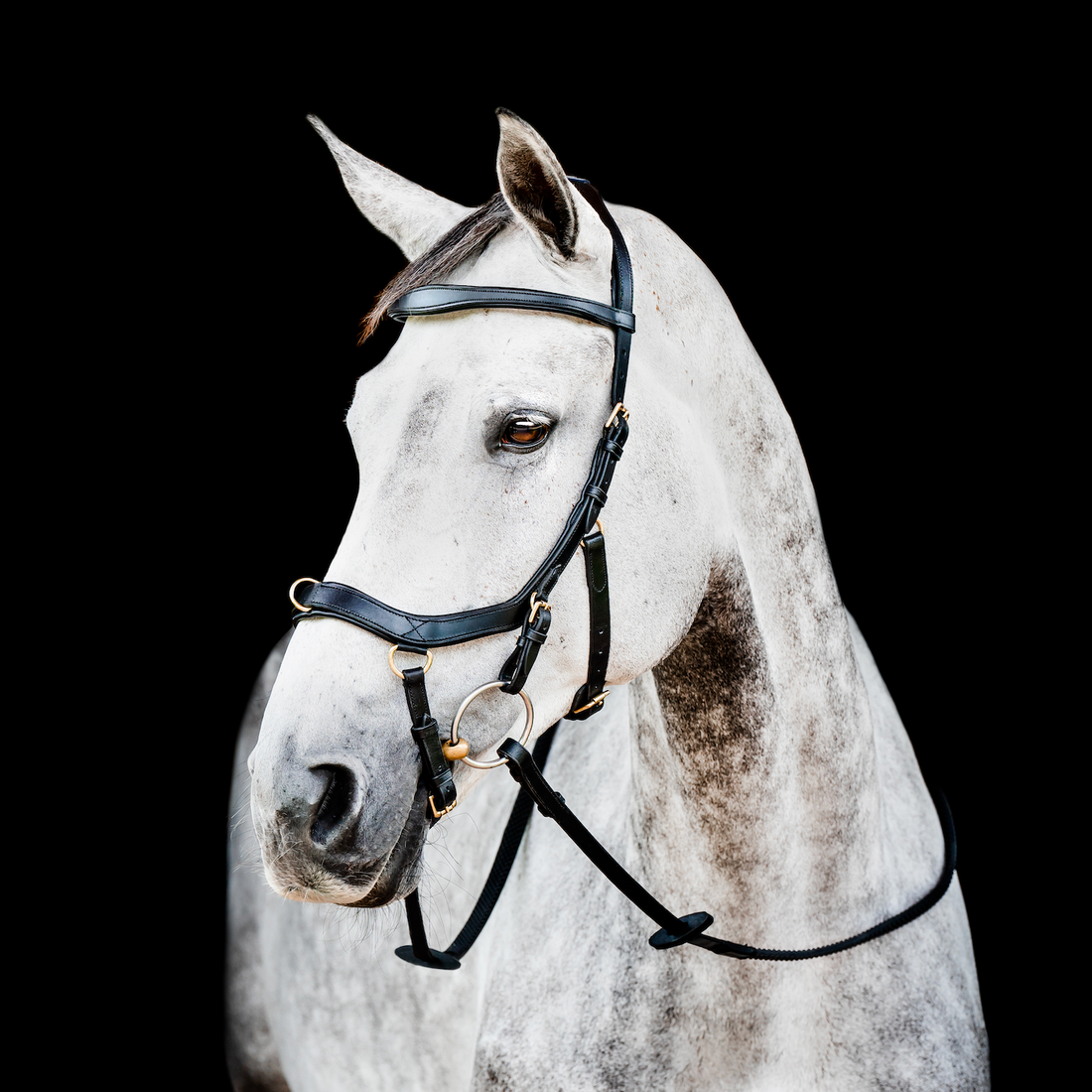 Horseware Ireland Micklem 2 Multi-Bridle