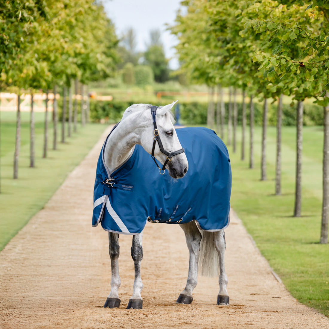 Horseware Ionic Therapy Turnout