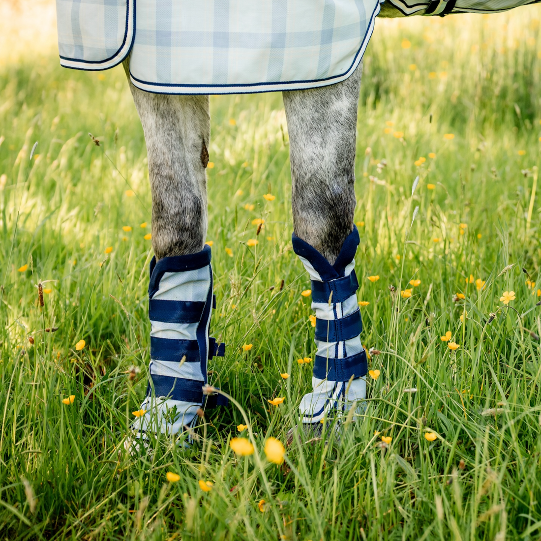Horseware Newmarket Fly Boots