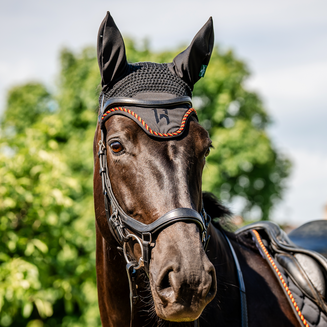 Horseware Newmarket Ear Net Bonnet