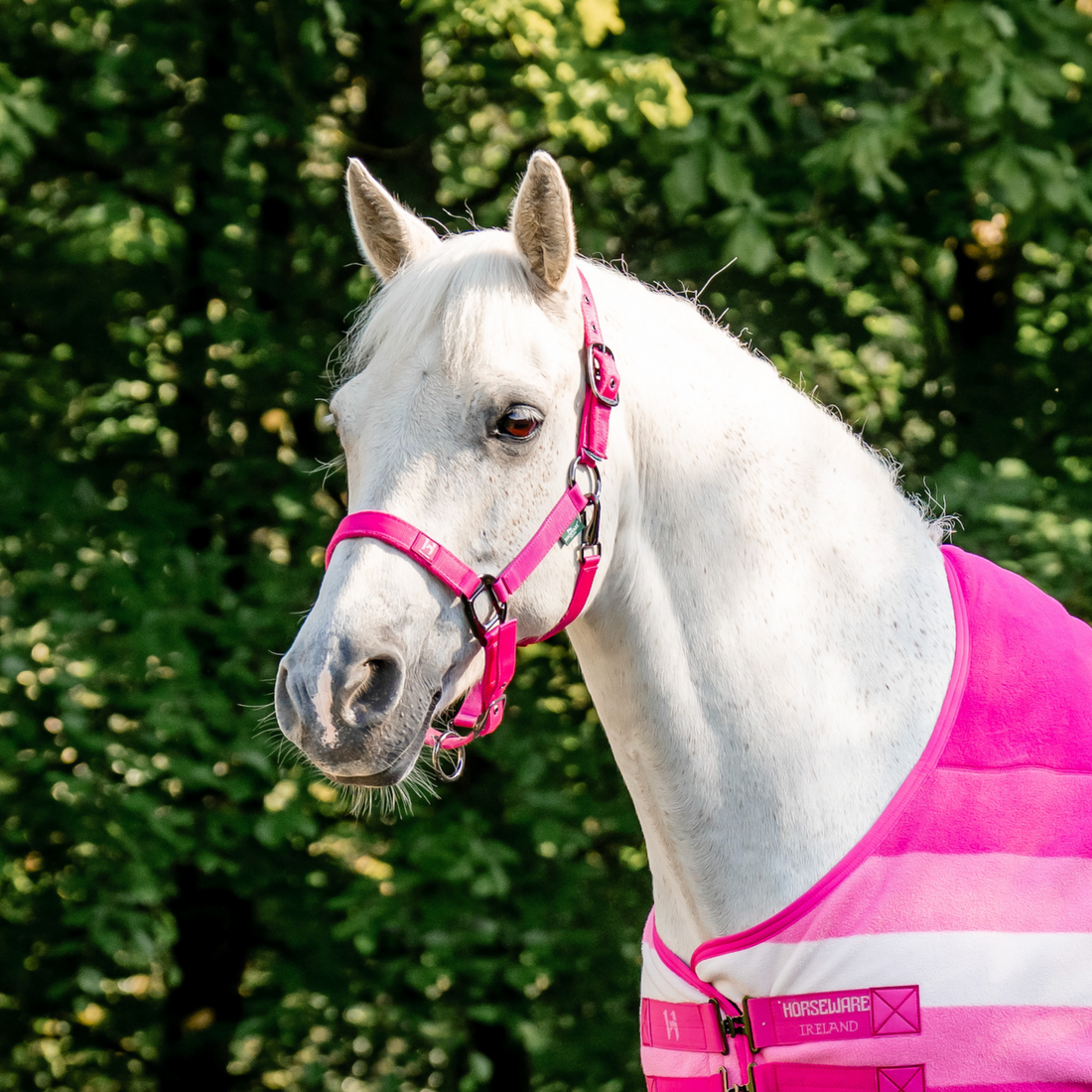 Horseware Newmarket Headcollar &amp; Leadrope Set
