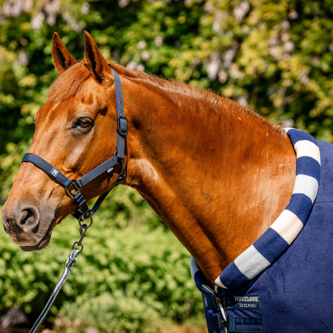 Horseware Newmarket Cosy Fleece Cooler