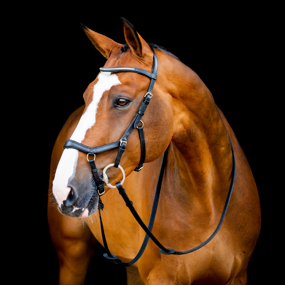 Horseware Ireland Micklem 2 Diamante Competition Bridle