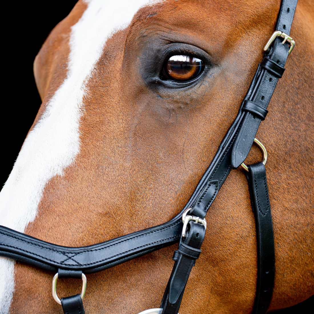 Horseware Ireland Micklem 2 Diamante Competition Bridle
