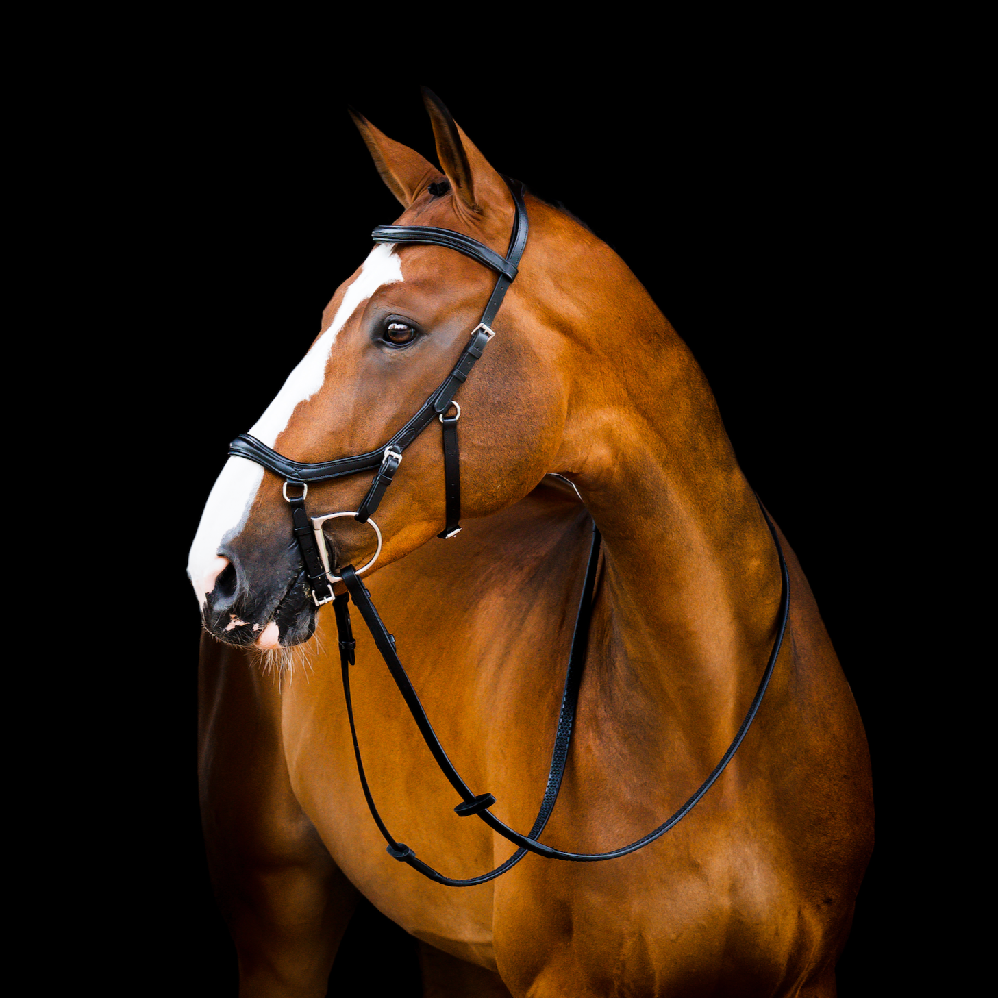 Horseware Ireland Micklem 2 Deluxe Competition Bridle