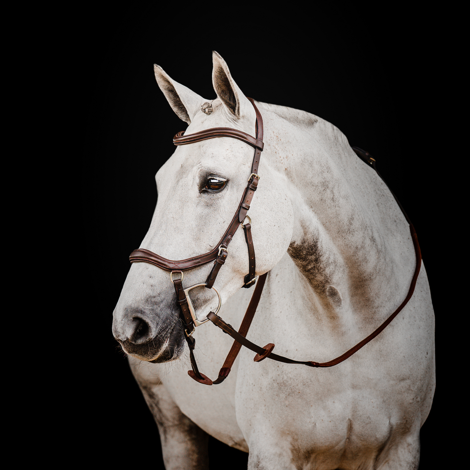 Horseware Ireland Micklem 2 Deluxe Competition Bridle