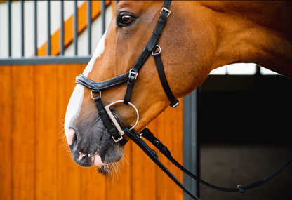Horseware Ireland Micklem 2 Deluxe Competition Bridle