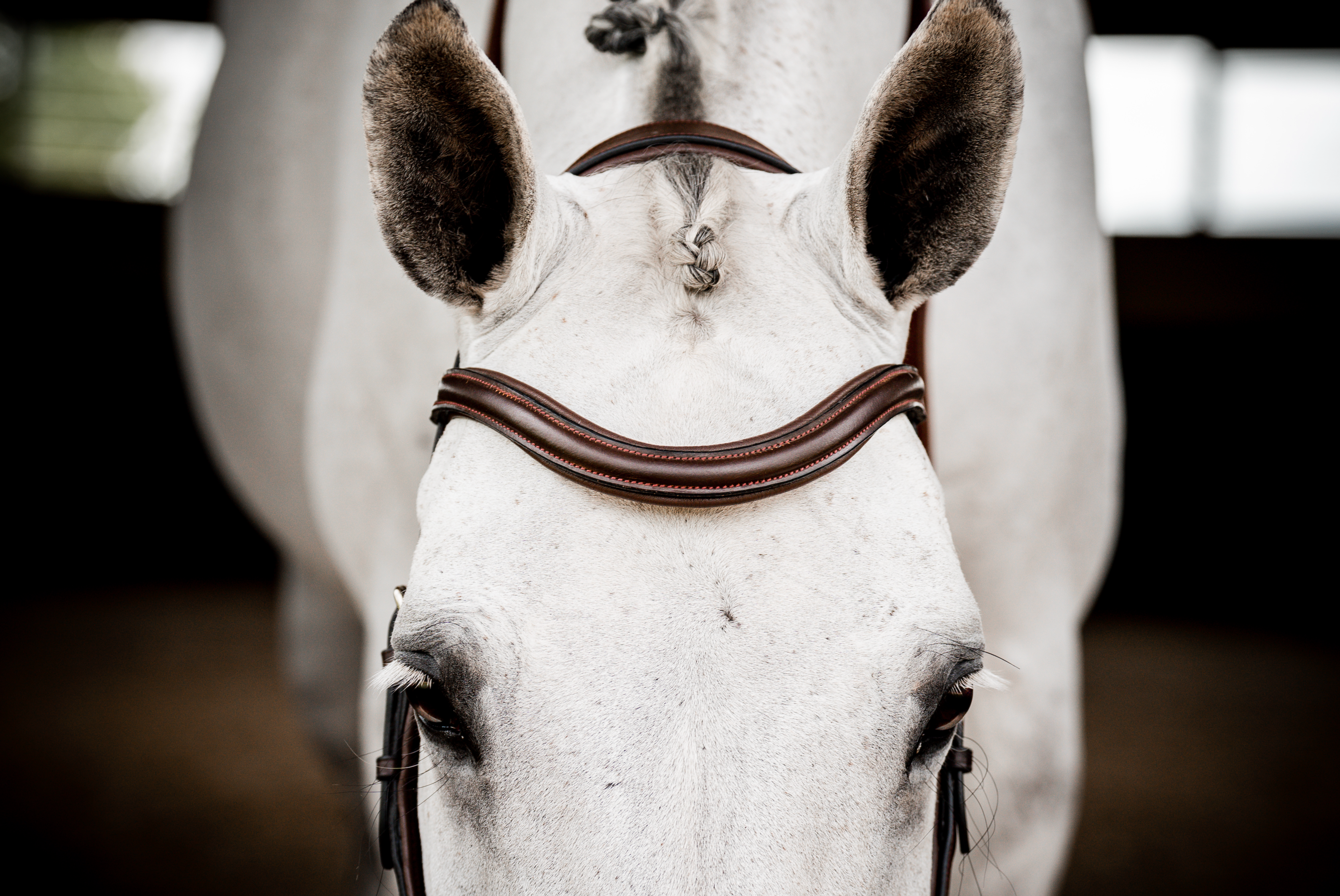 Horseware Ireland Micklem 2 Deluxe Competition Bridle