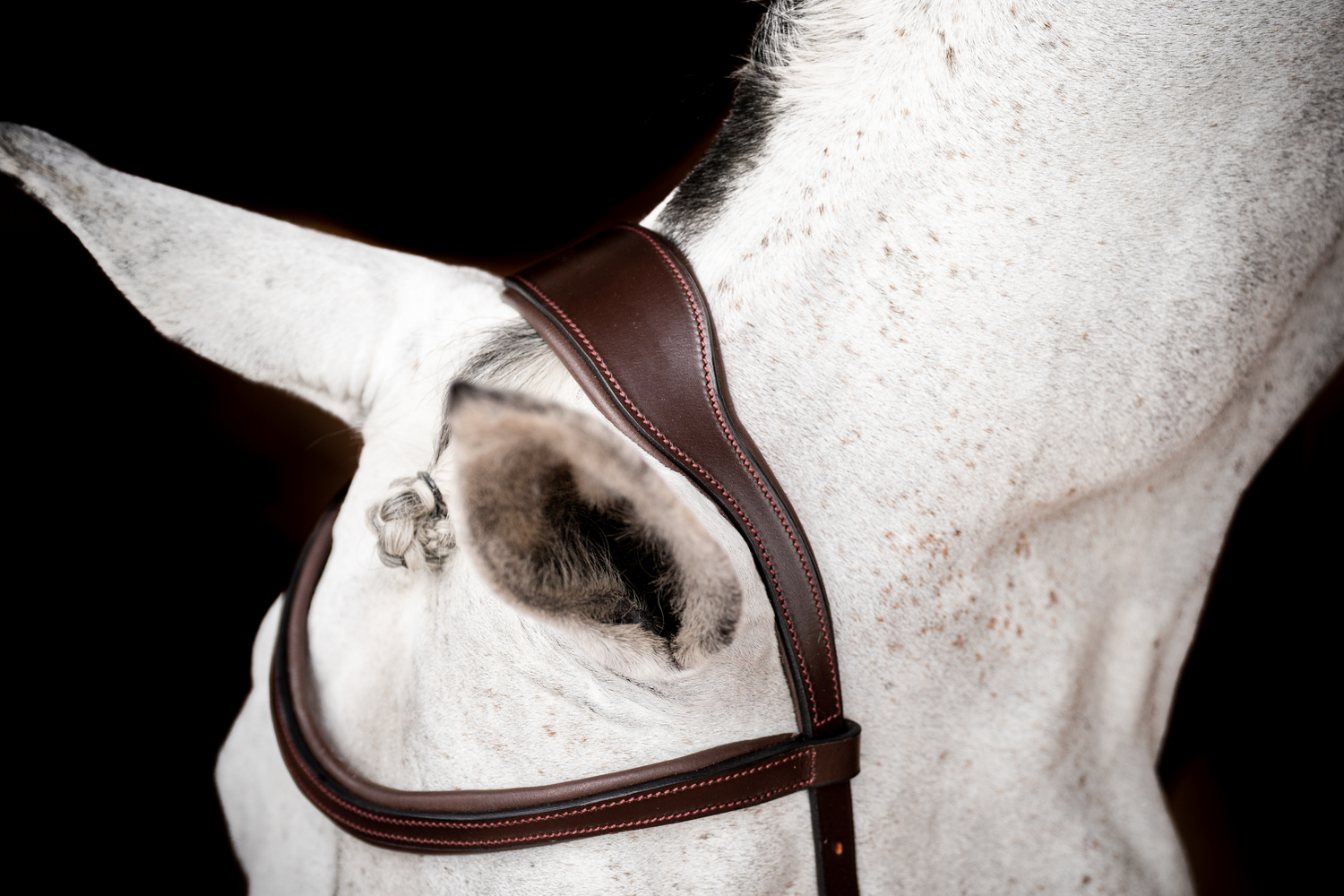 Horseware Ireland Micklem 2 Competition Bridle