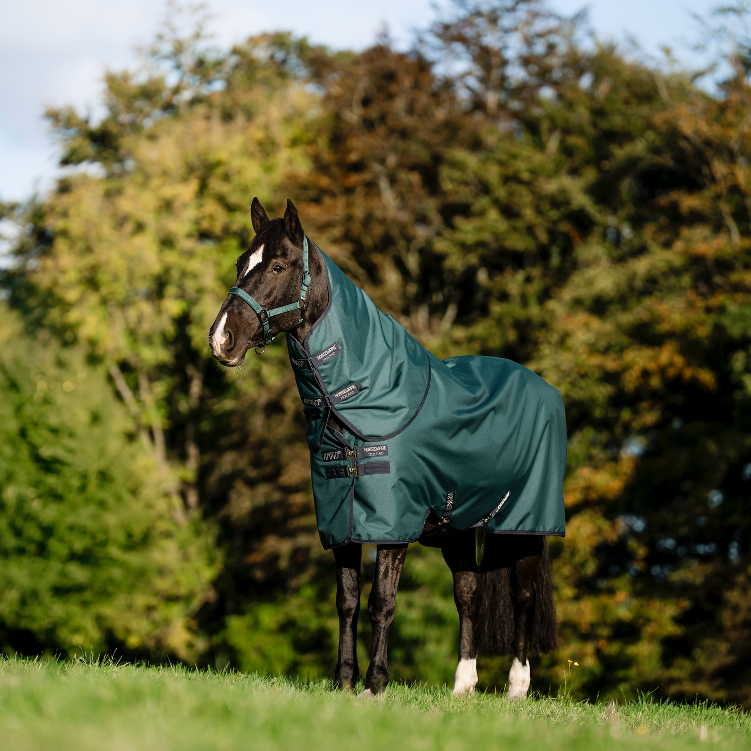 Amigo Ripstop 900D Plus Pony Turnout Detach-A-Neck