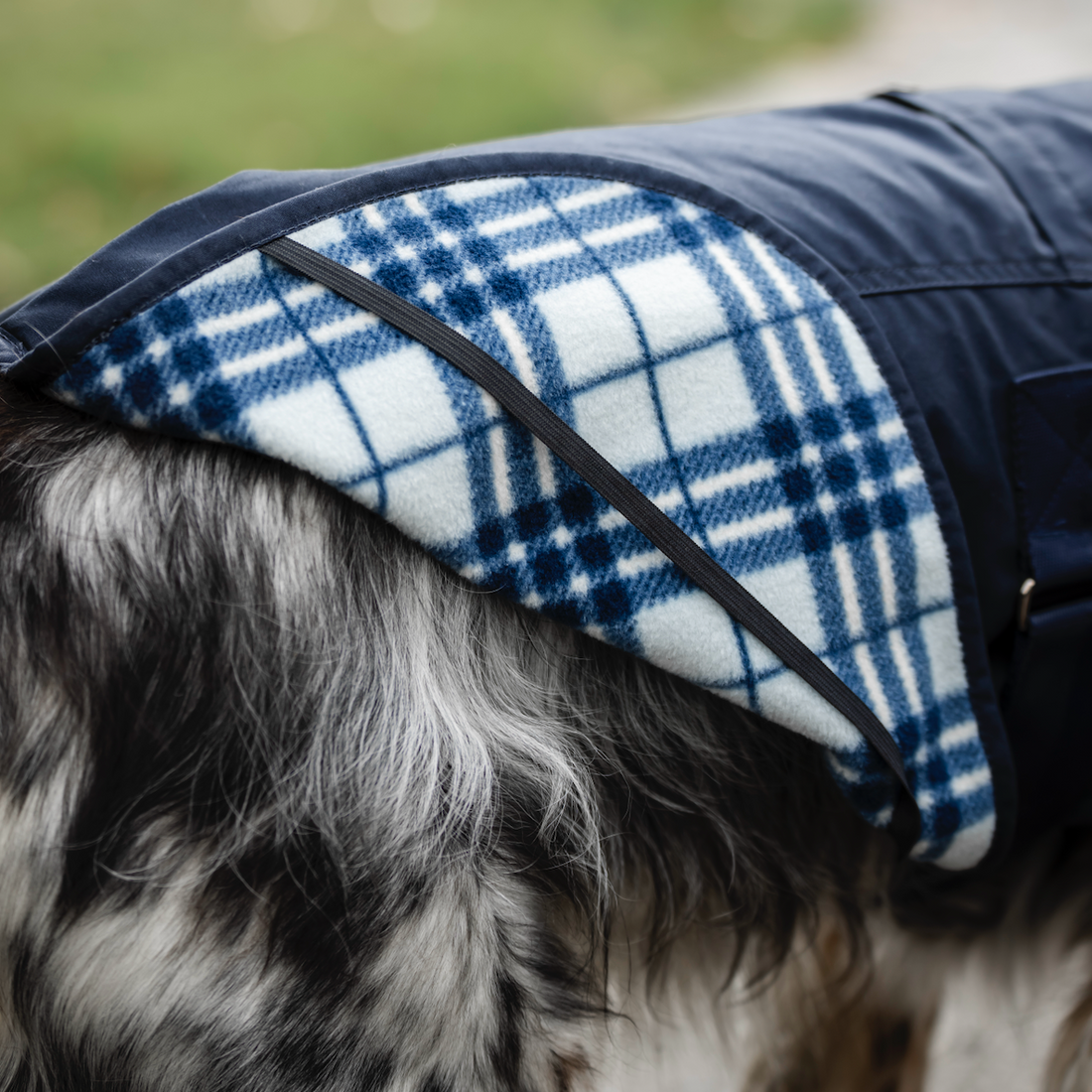 Horseware Newmarket Heritage Dog Coat