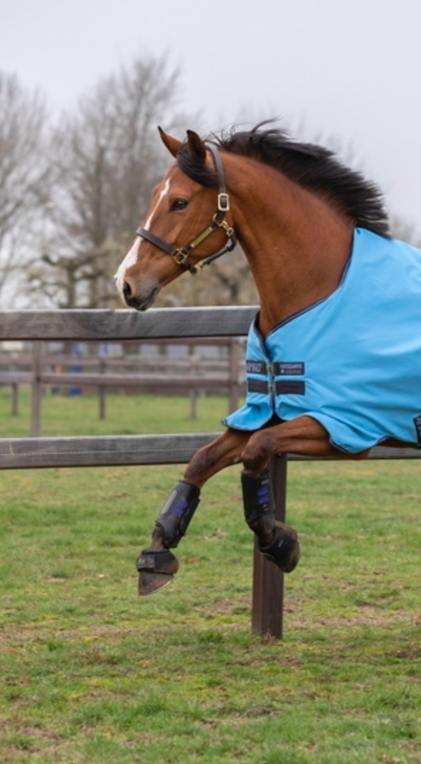 Amigo Hero 900D Turnout Lite Rug