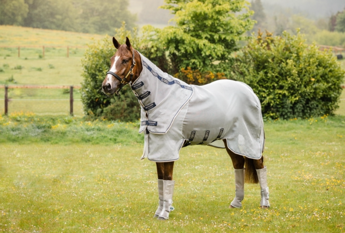 Rambo Protector Fly Rug Detach-A-Neck