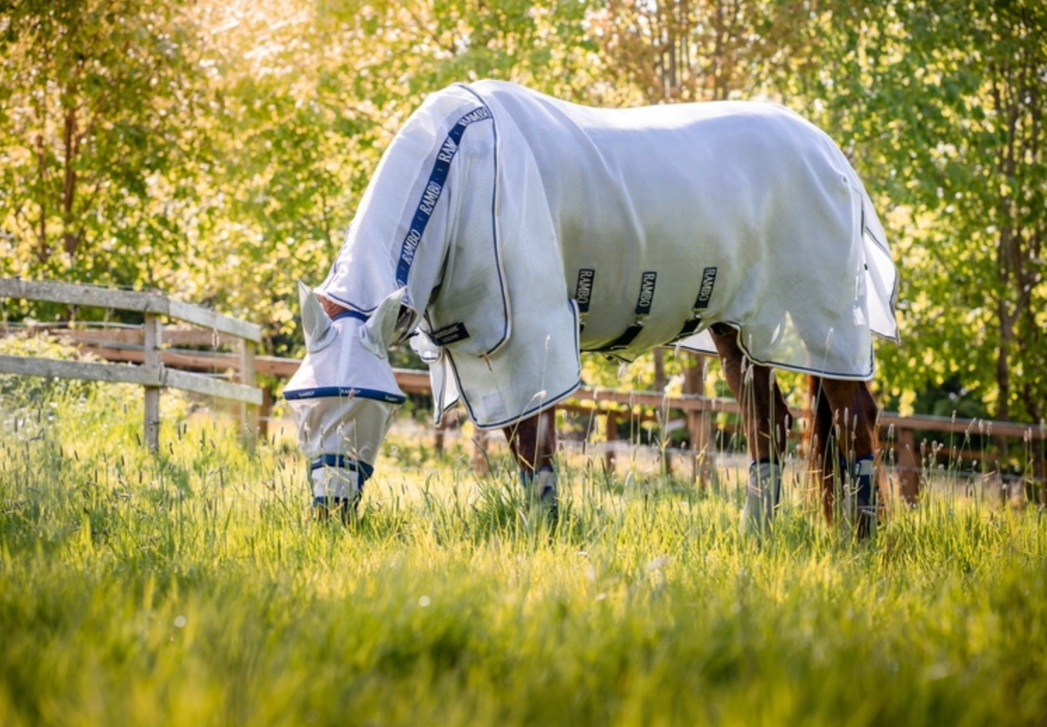 Rambo Protector Fly Rug Detach-A-Neck