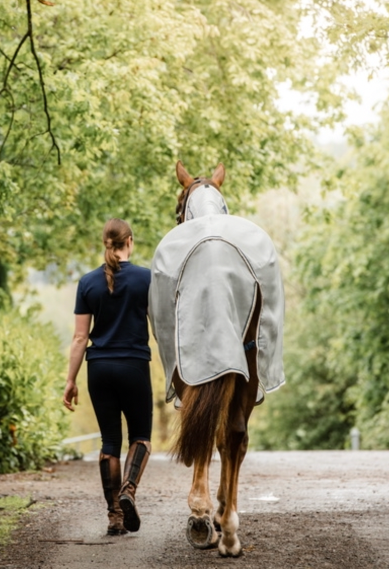Rambo Protector Fly Rug Detach-A-Neck
