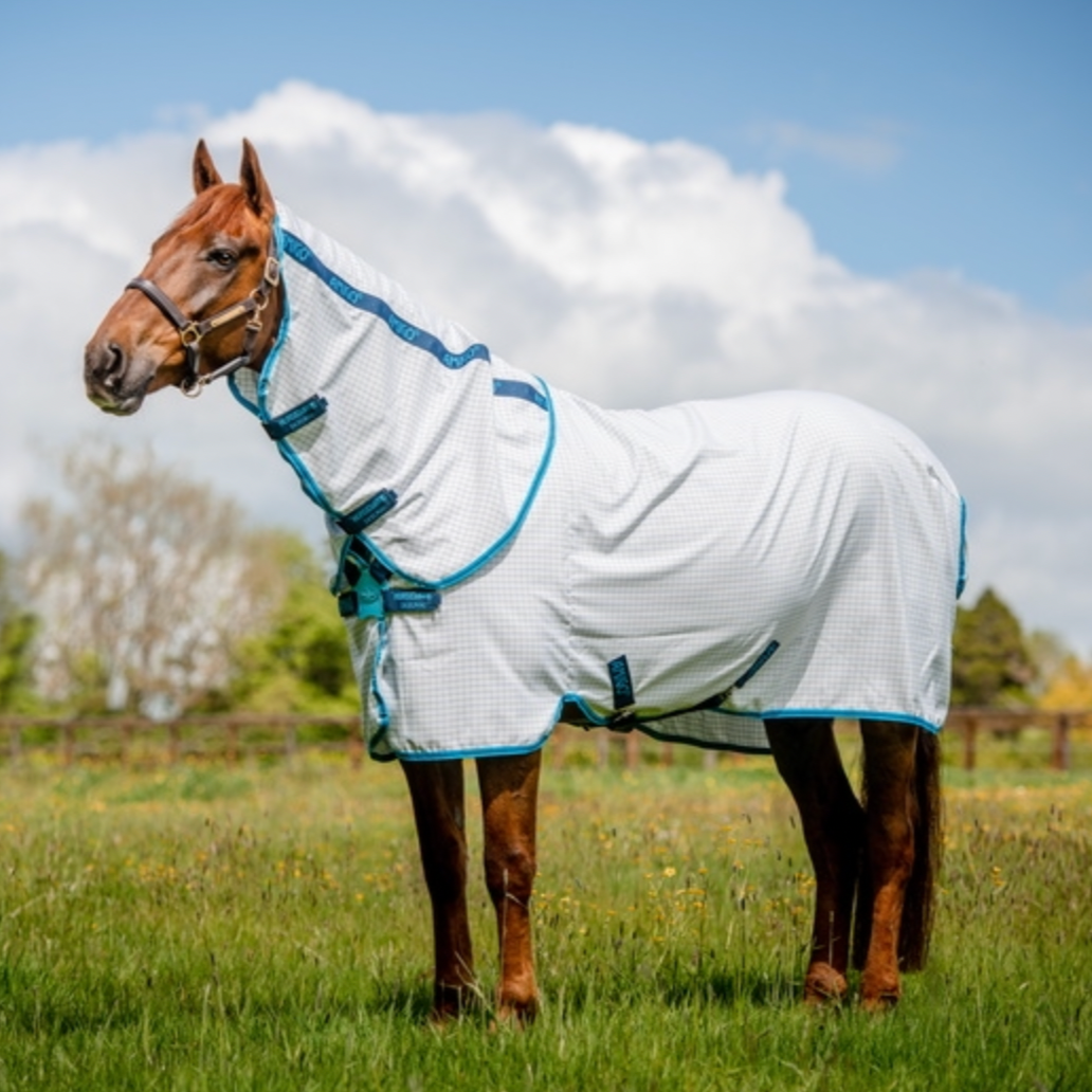 Amigo Aussie Allrounder DiscFront Detach-A-Neck