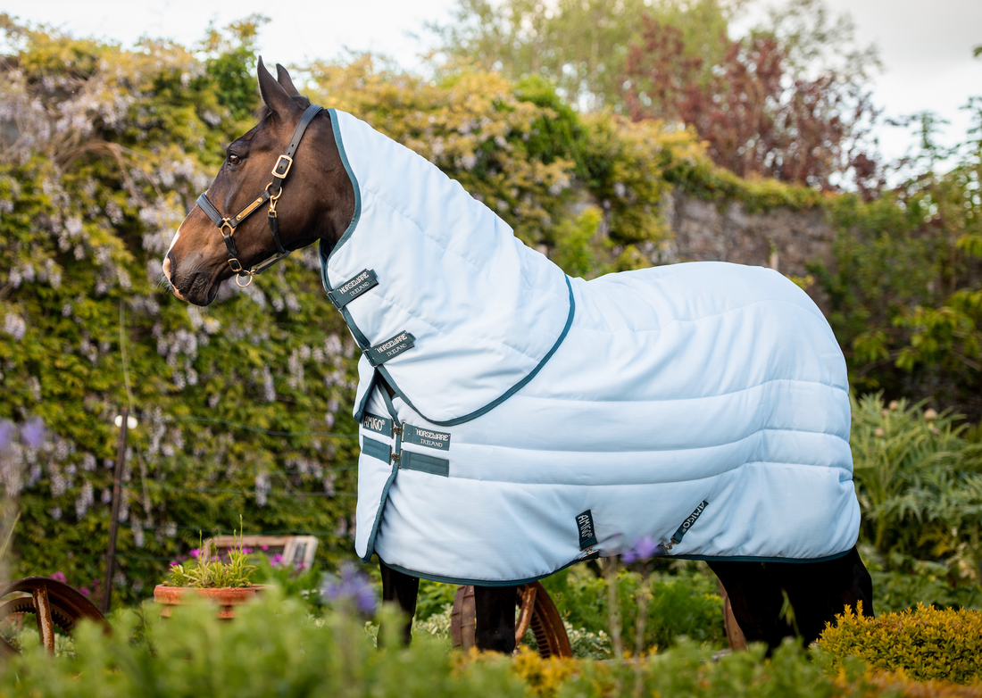 Amigo Stable Plus Plant Dye Deatch-A-Neck