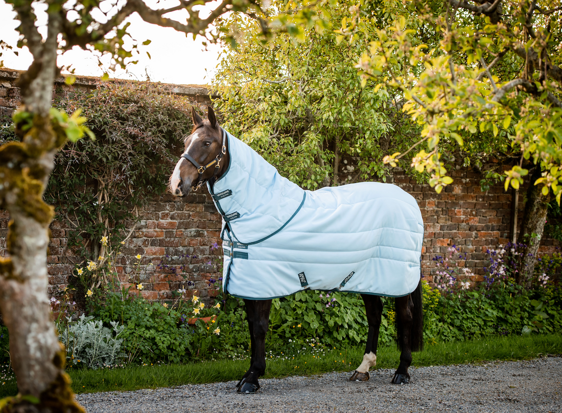 Amigo Stable Plus Plant Dye Deatch-A-Neck
