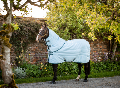 Amigo Stable Plus Plant Dye Deatch-A-Neck