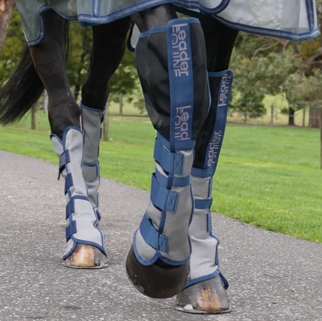 Leader Equine Defender Fly Boots