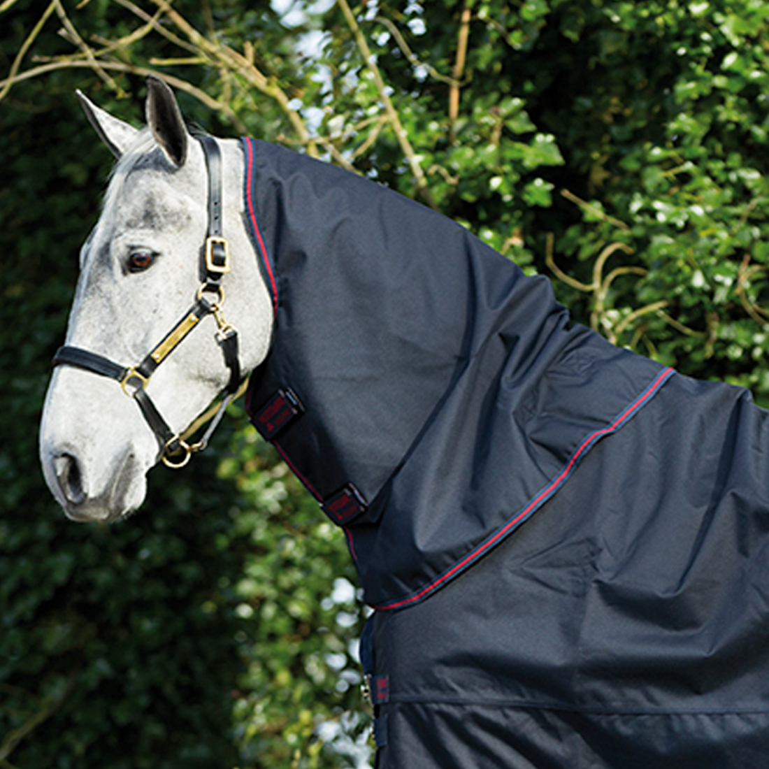 Amigo 1200D XL Turnout Neck Rug