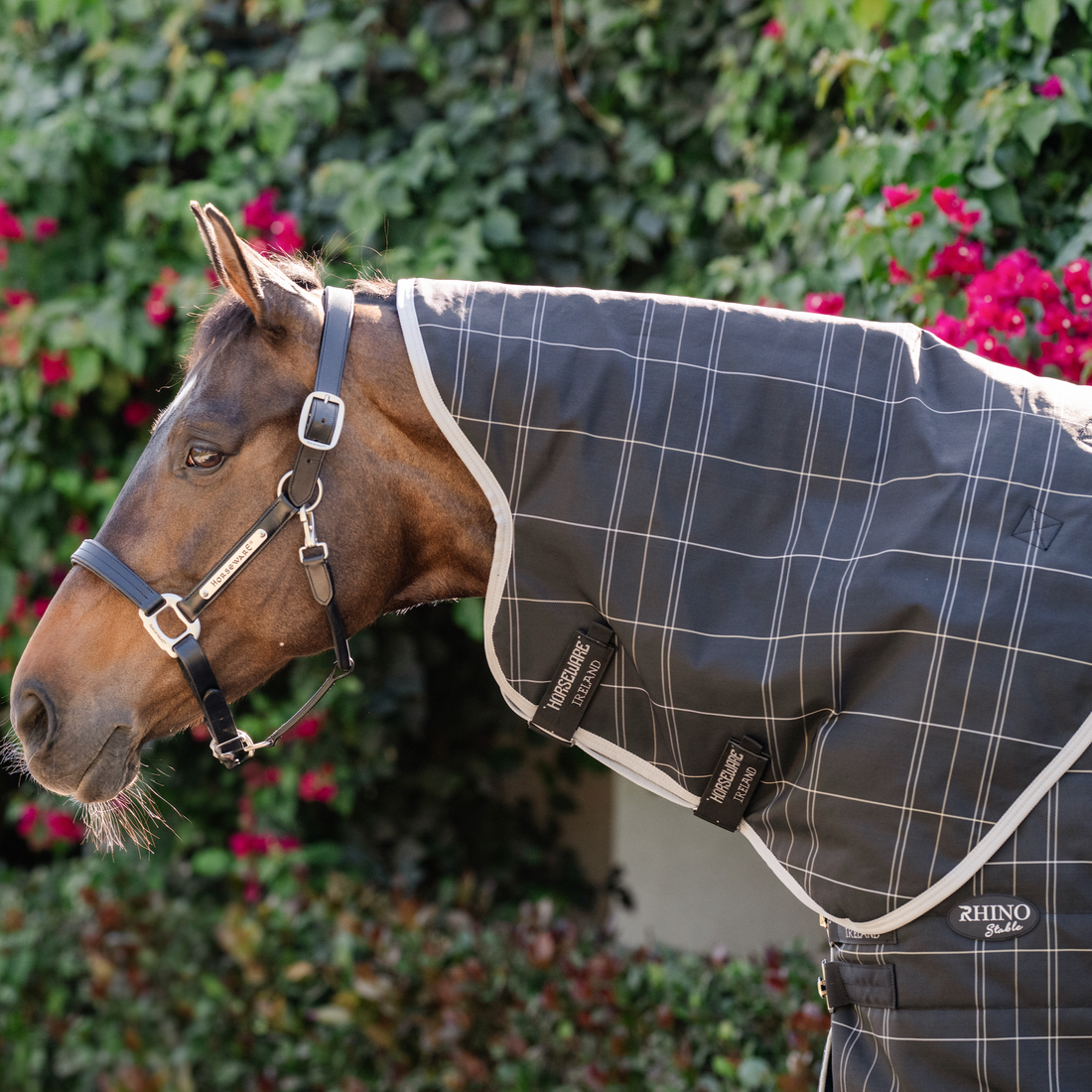 Rhino Stable Neck Rug
