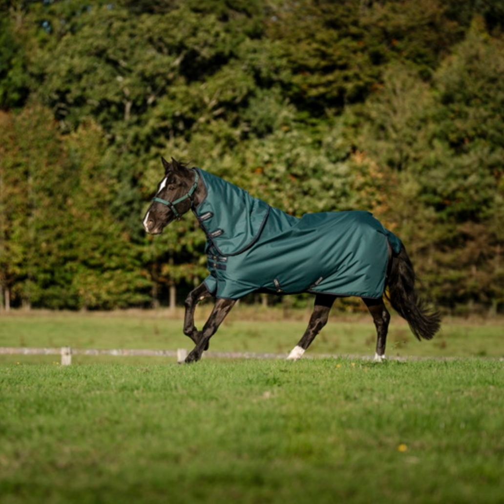Amigo Ripstop 900D Plus Turnout Detach-A-Neck
