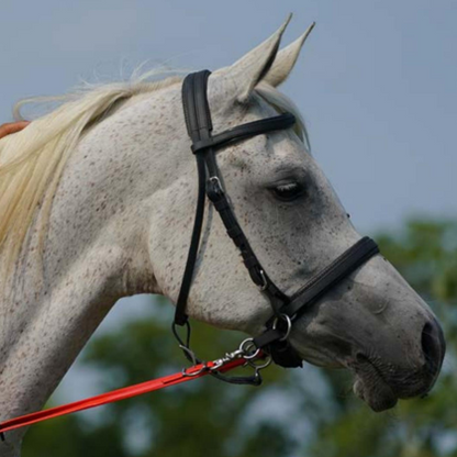 Zilco Sidepull 3-in-1 Bitless Bridle