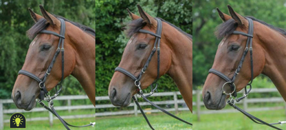 Zilco Sidepull 3-in-1 Bitless Bridle