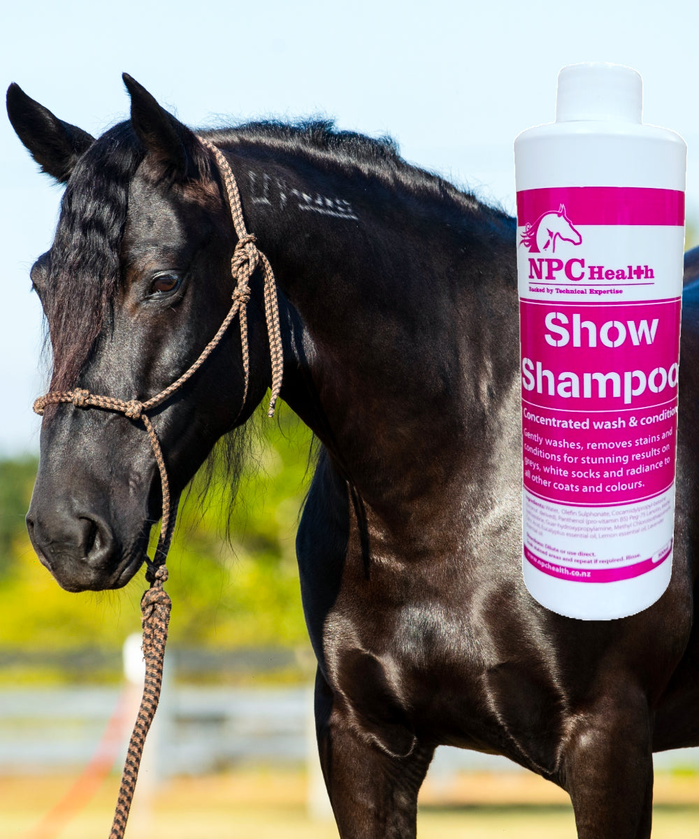 NPC Health Equine Show Shampoo