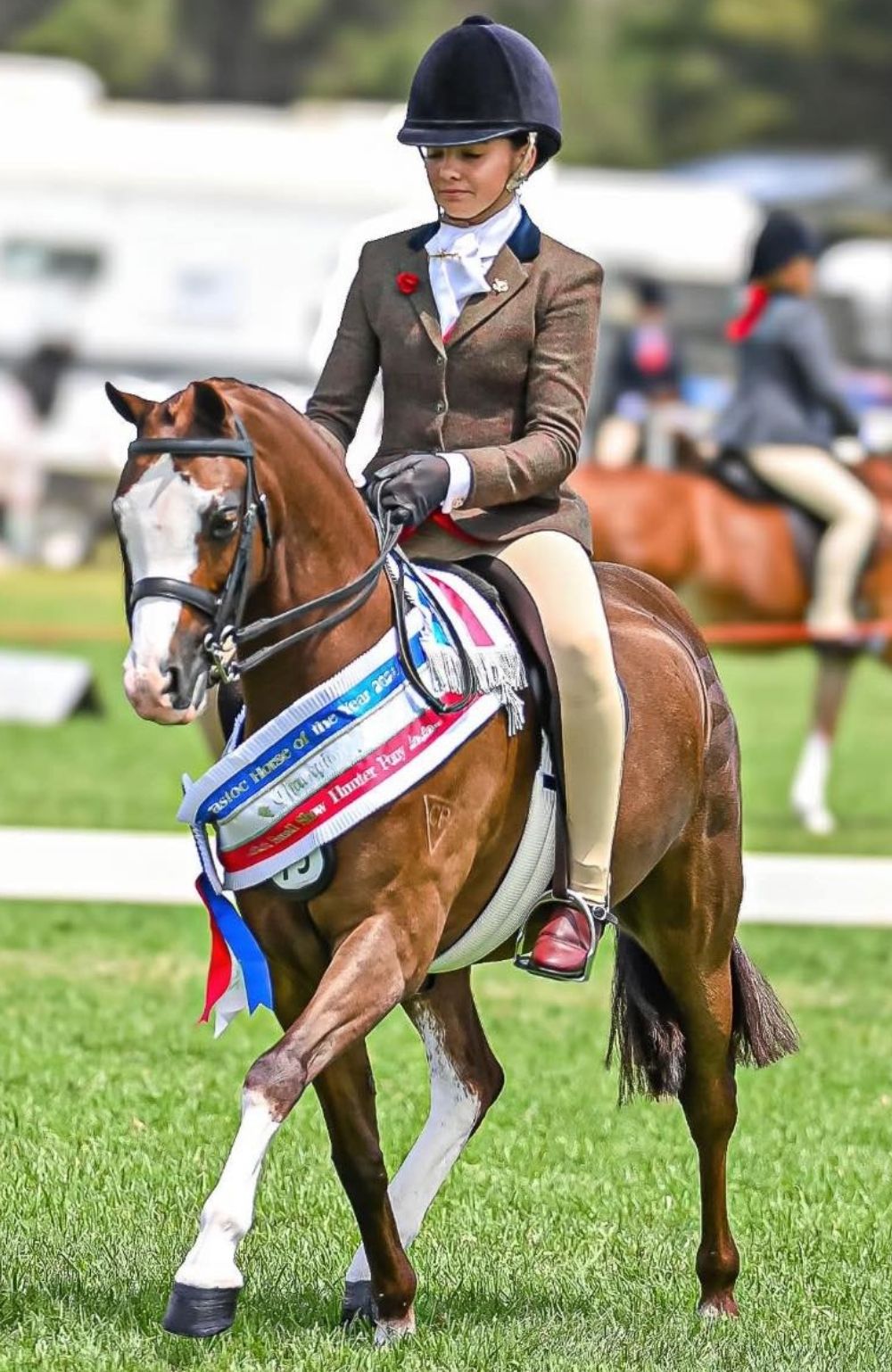 Bare Equestrian Youth 2-Tone Competition Tights