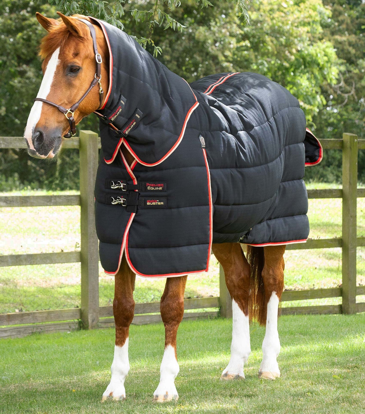 Description:Stable Buster 200g Stable Rug with Neck Cover_Colour:Black_Position:1