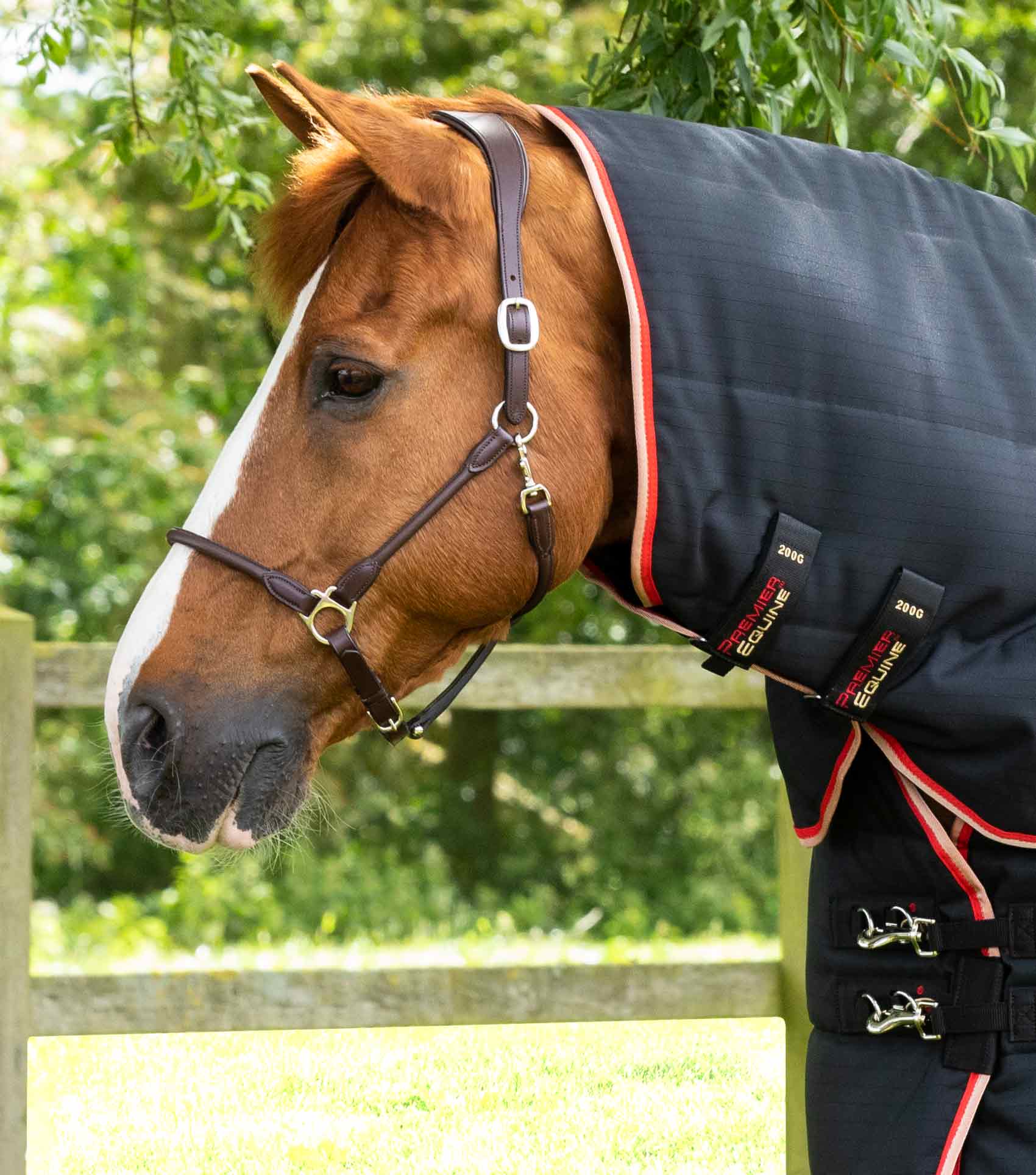 Premier Equine Buster Stable Rug with Detacha-Neck Cover