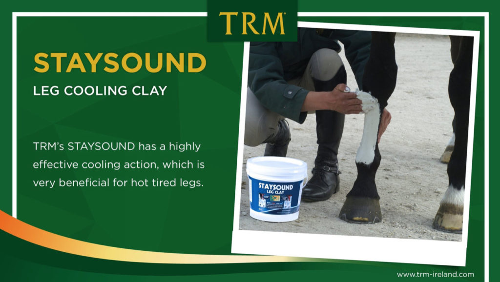 AHD Staysound Clay Poultice