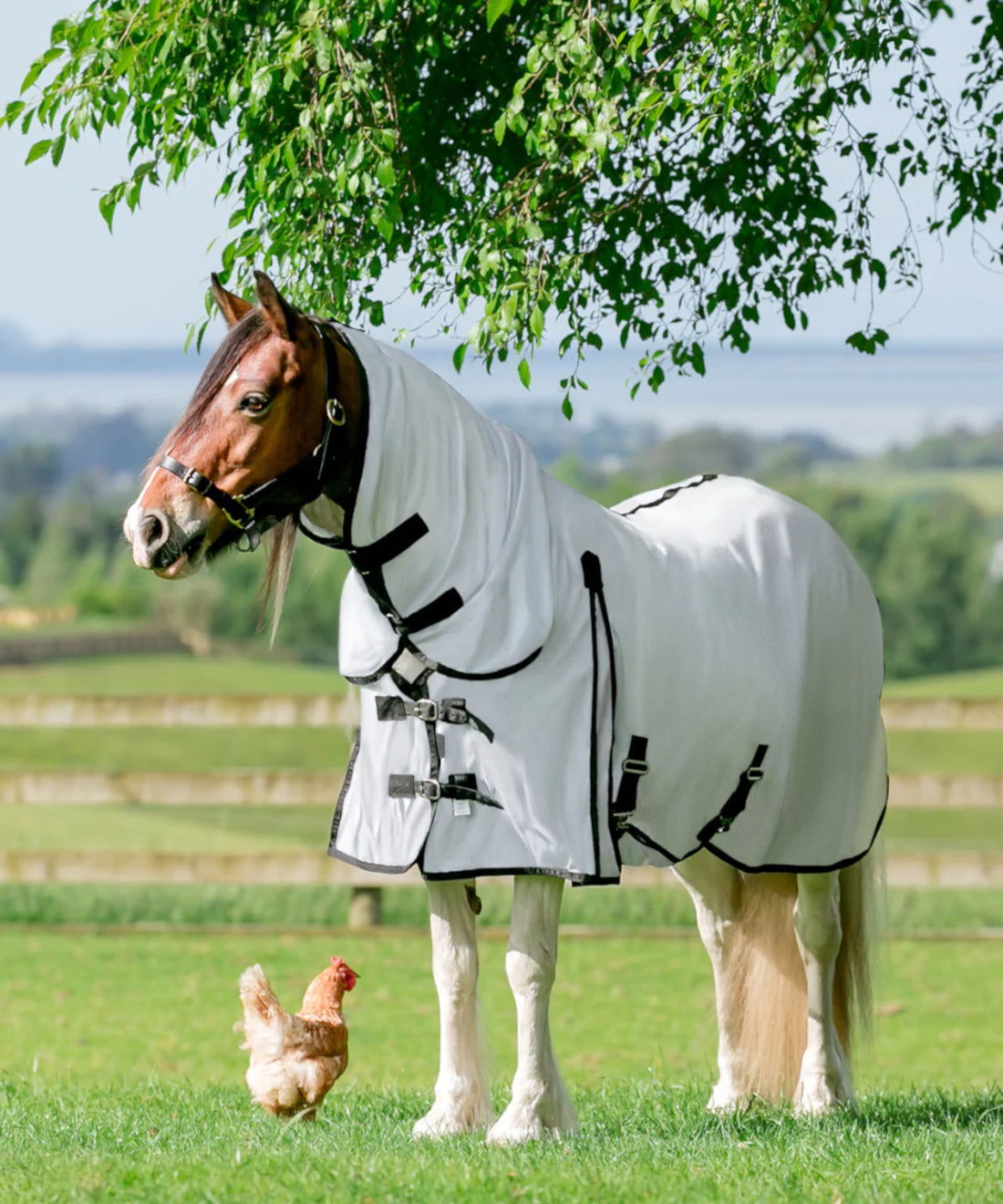 Horse cover sizing chart. Choose the right horse rug size and weight