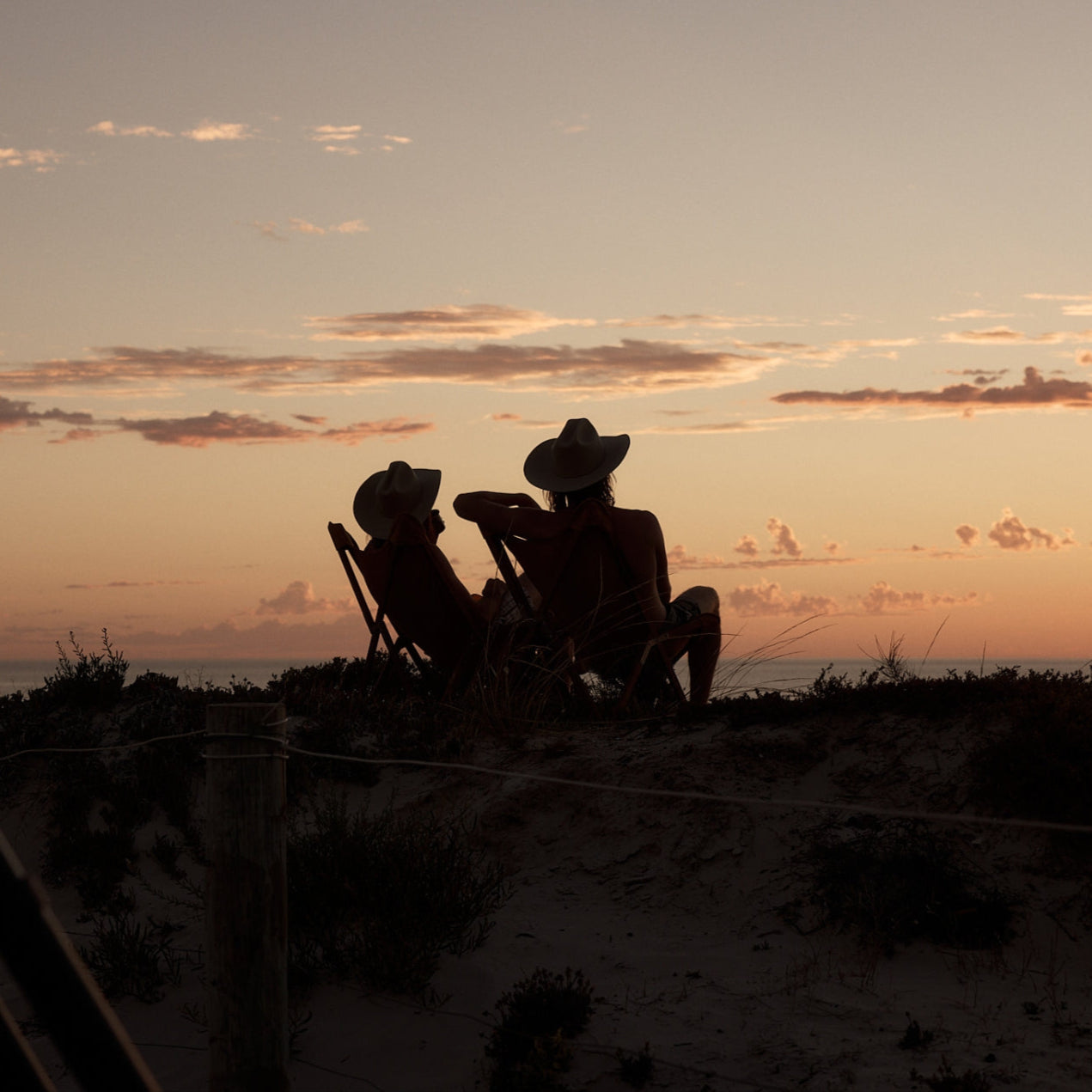 Will &amp; Bear Buck Felt Cowboy Hat