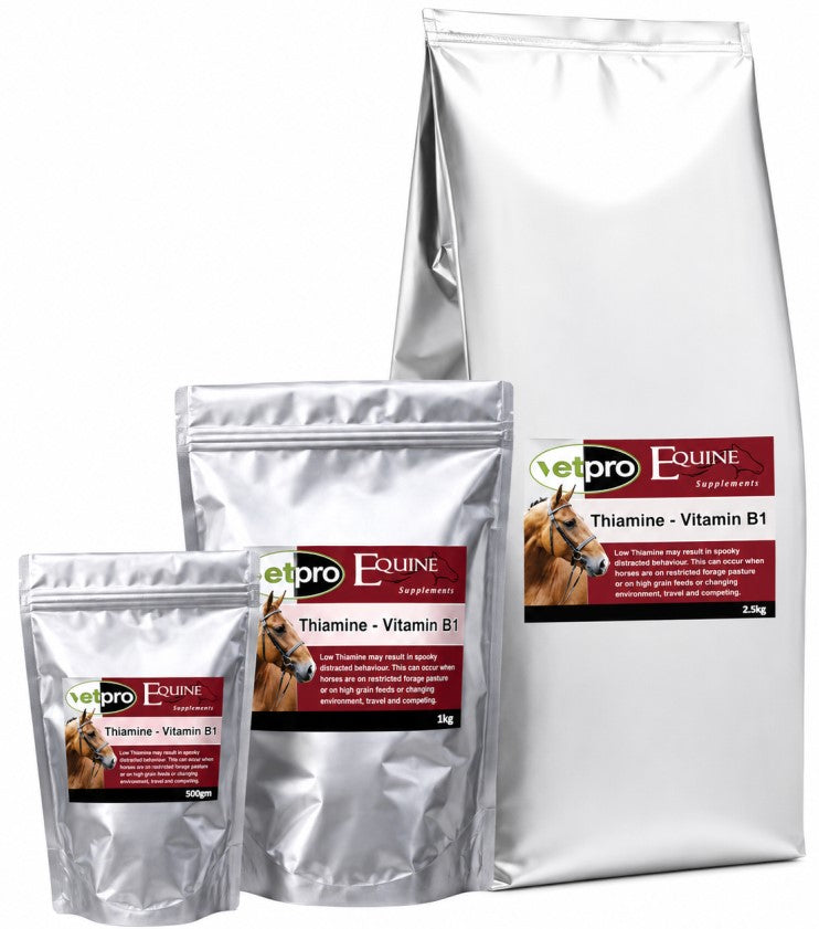 Vetpro Vitamin B1 Thiamine
