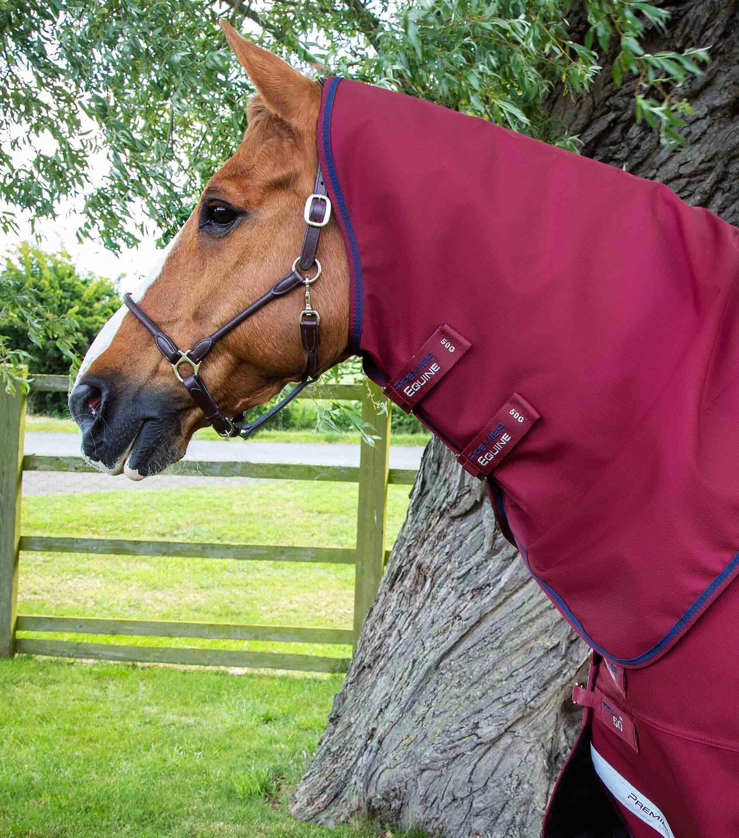 Premier Equine Titan Turnout Detacha-Neck with Classic Neck Cover