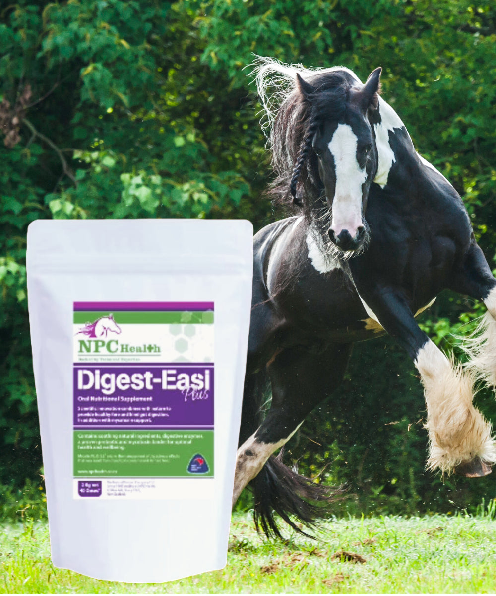 NPC Health Digest Easi +  Toxin Binder &amp; Digestive Aid