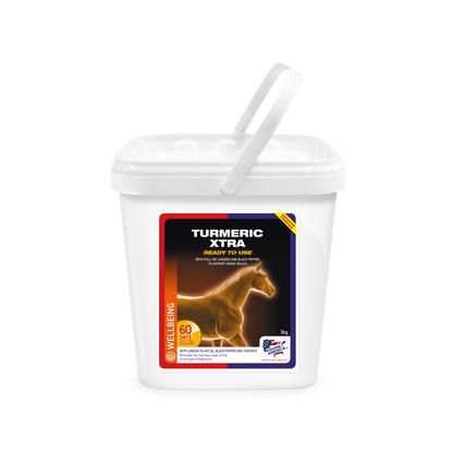 Equine America Turmeric XTRA