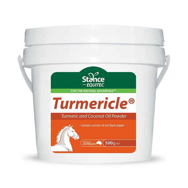 AHD Turmericle Turmeric and Coconut Oil Powder