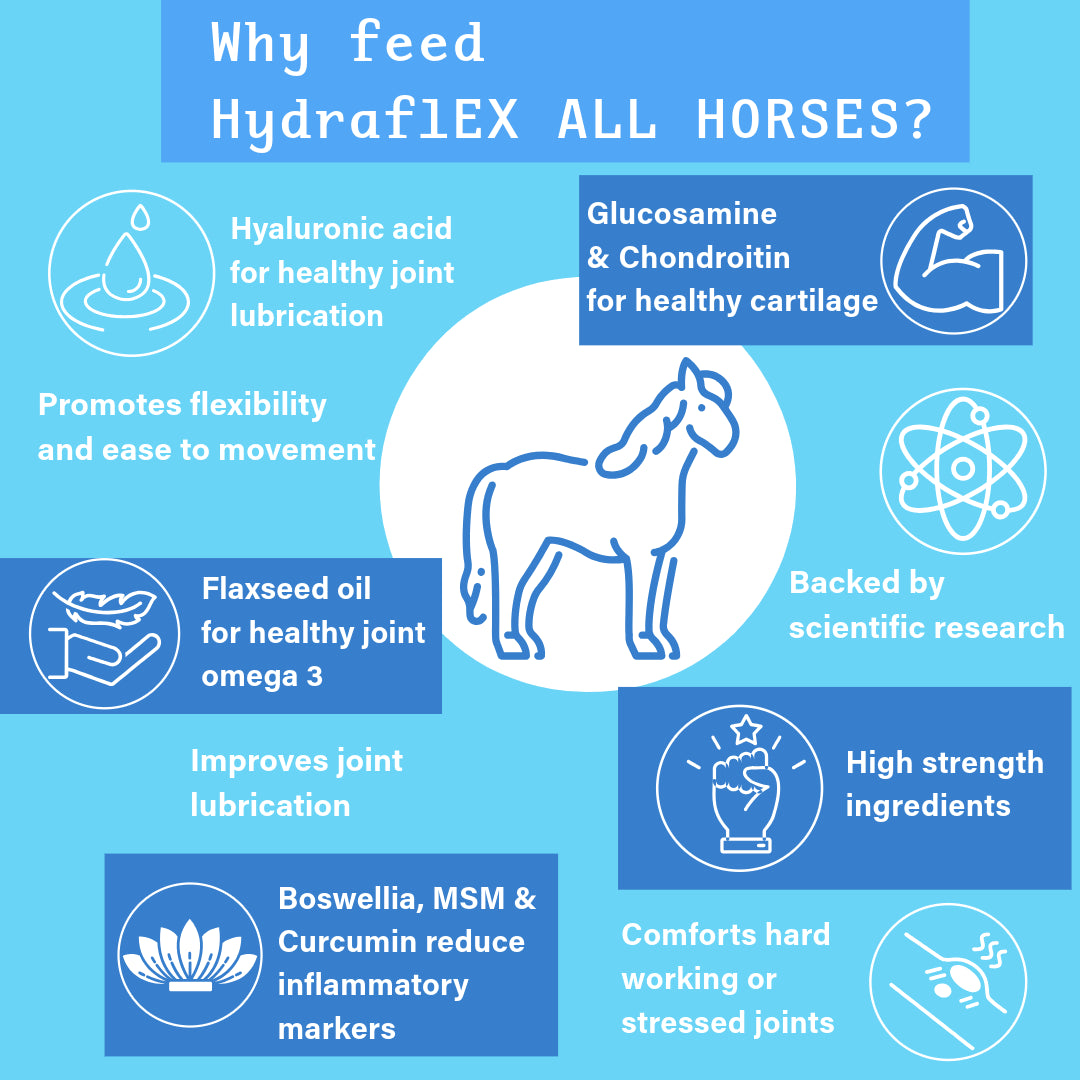 NPC Health Hydra-Flex ALL HORSES