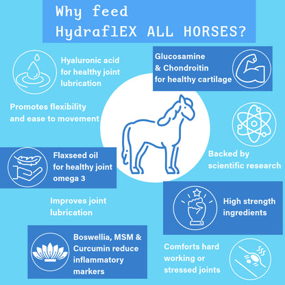 NPC Health Hydra-Flex ALL HORSES